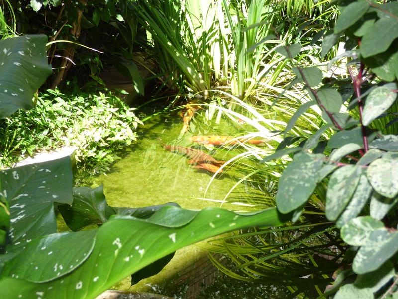 To Let 1 Bedroom Property for Rent in Gardens Western Cape